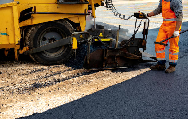 Best Driveway Pressure Washing  in Paris, IL